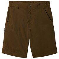 columbia-silver-ridge iv-shorts-pants